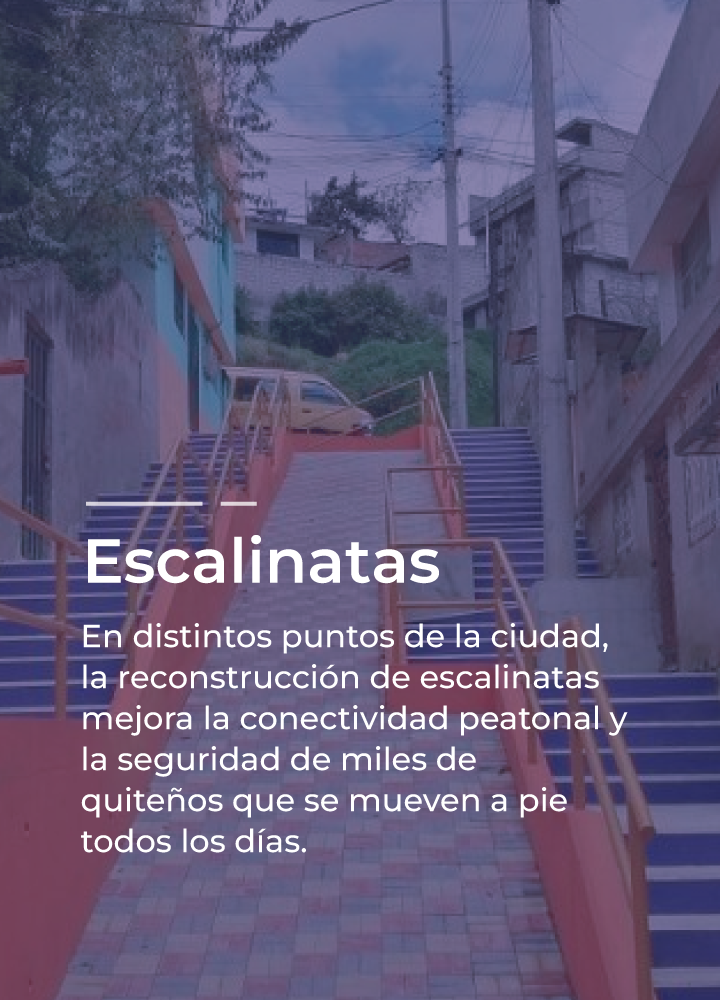 escalinatas