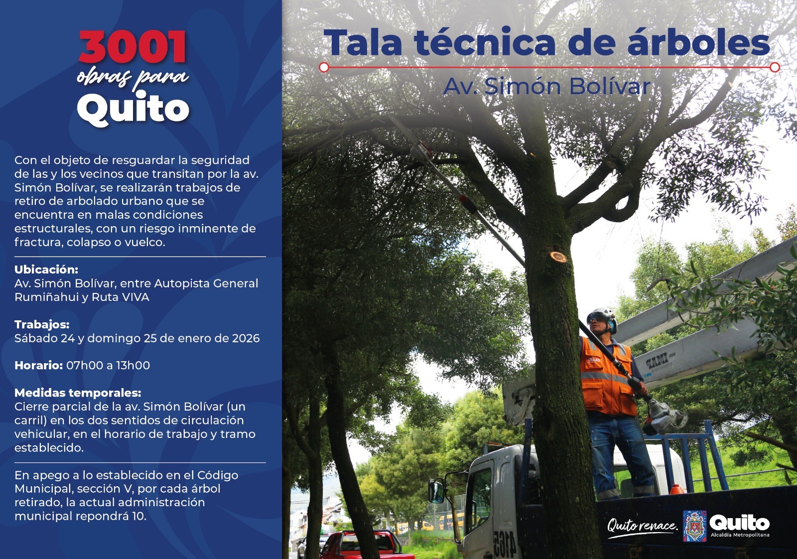 Mapa intervención retiro de árboles - Av. Simón Bolívar