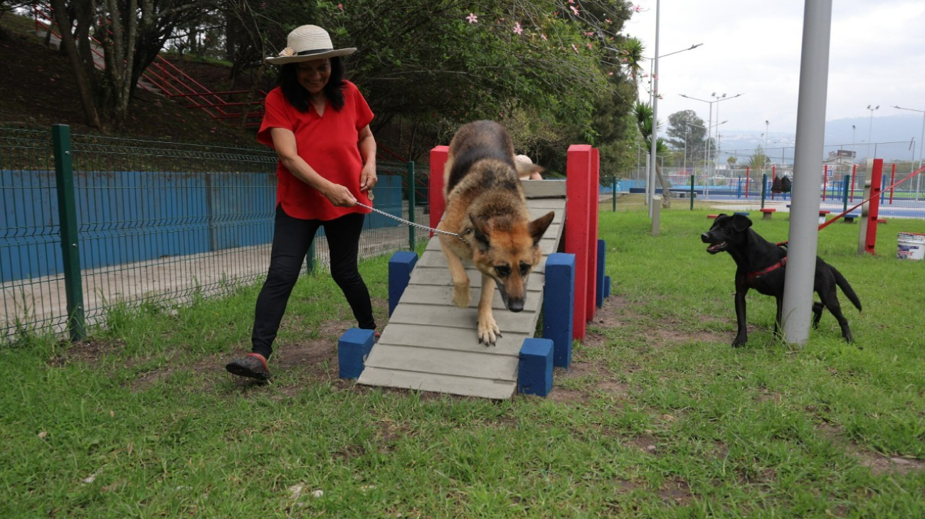 2026_03_18_ZONAS_CANINAS