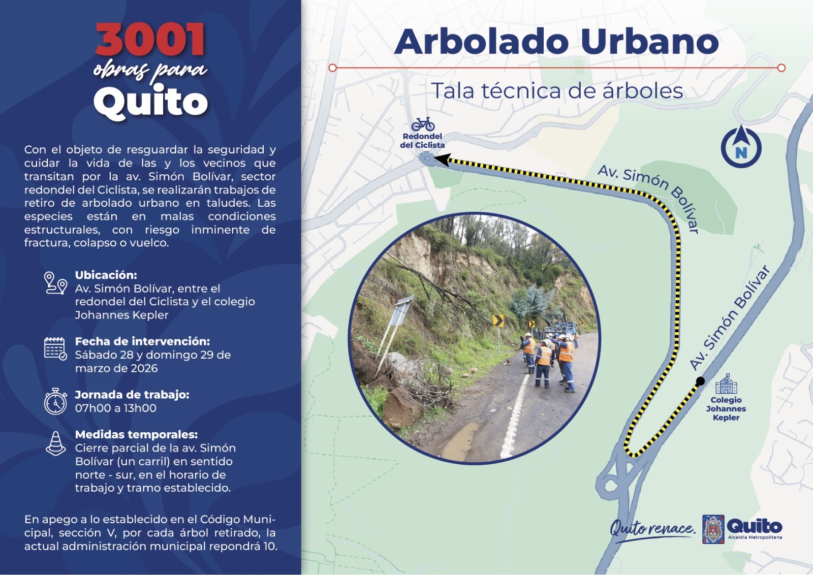 Foto intervención retiro de árboles en av. Simón Bolívar