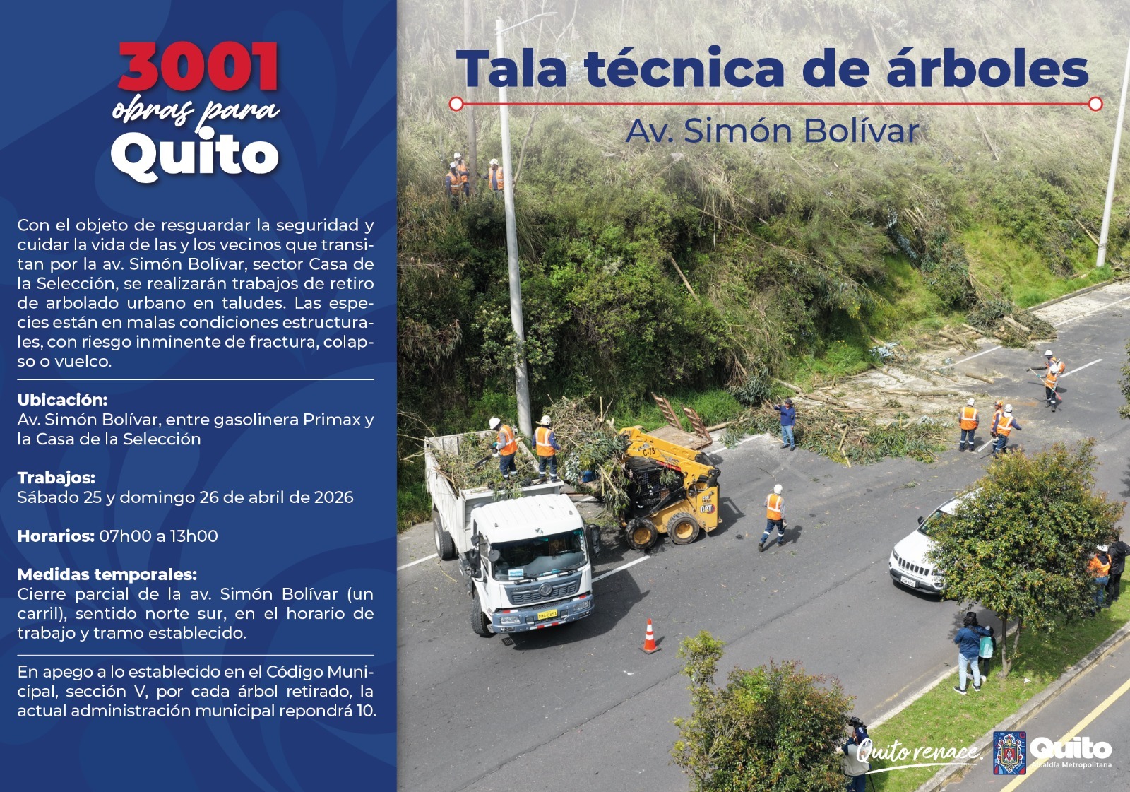 Técnicos de la Epmmop realizando labores de mantenimiento y retiro de árboles en riesgo en los taludes de la av. Simón Bolívar